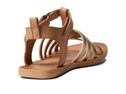 Blowfish Malibu Kids Drizzle-T (Toddler/Little Kids) 12 Blowfish Malibu Kids Drizzle-T (Toddler/Little Kids) -Ubuy 716CwxNfBmL